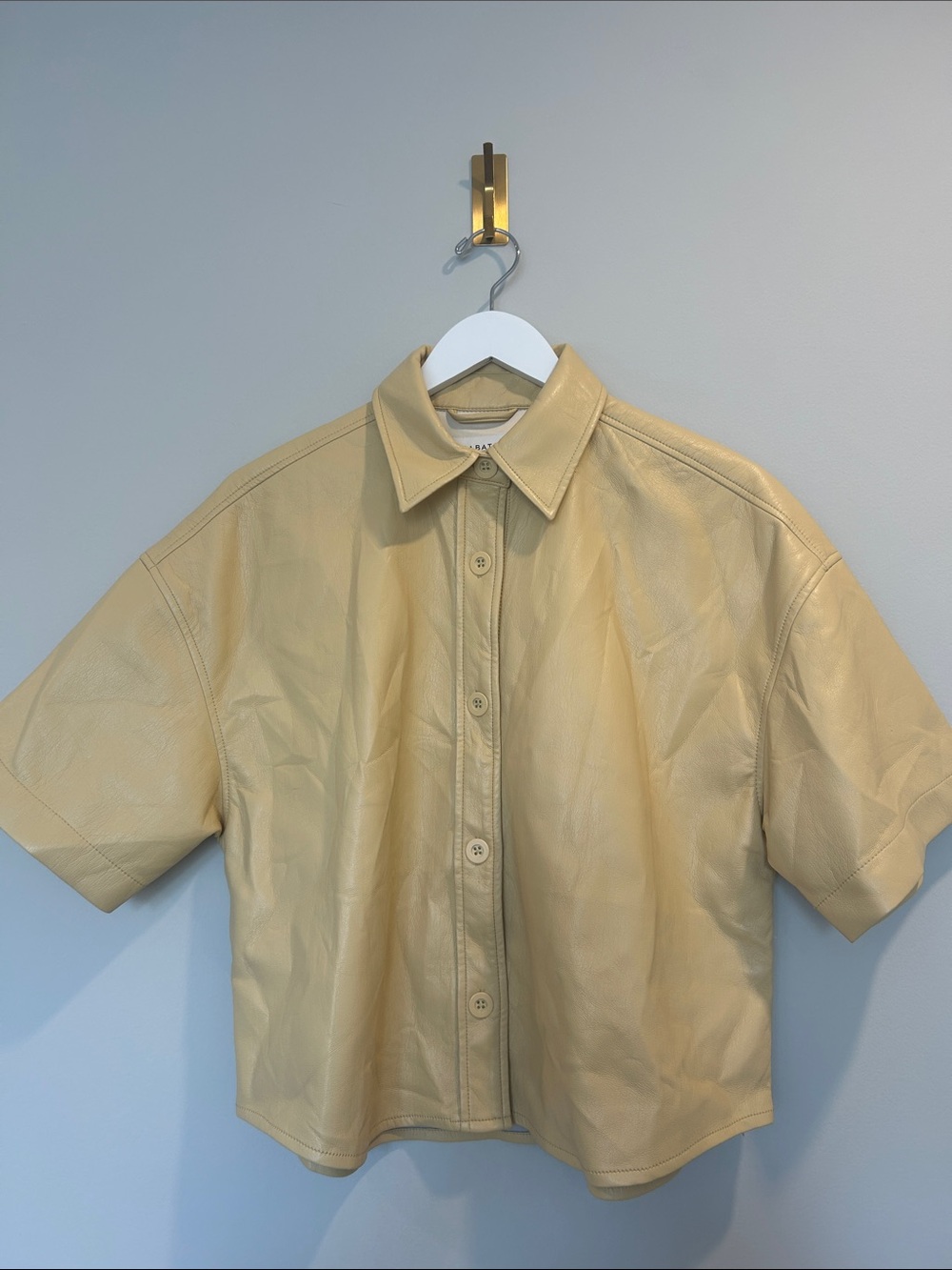 Aritzia Short-Sleeve Button-Down Leather Shirt in Pale Yellow